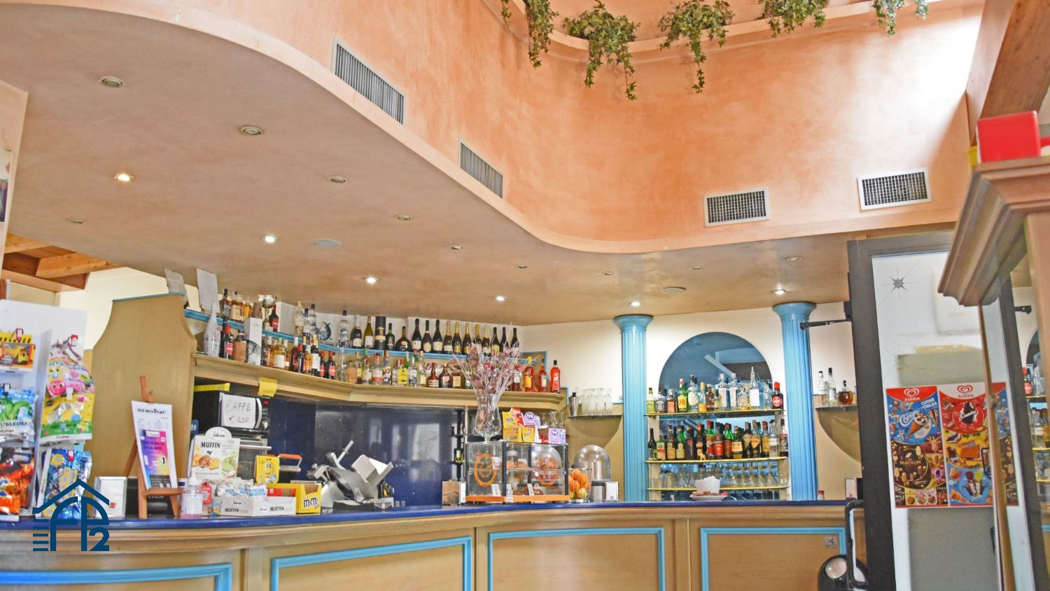 Bar/Tavola fredda in zona pedonale