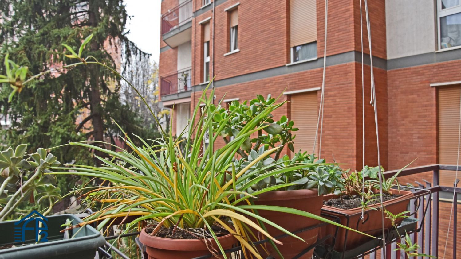 Trilocale adiacenze Parco di Monza