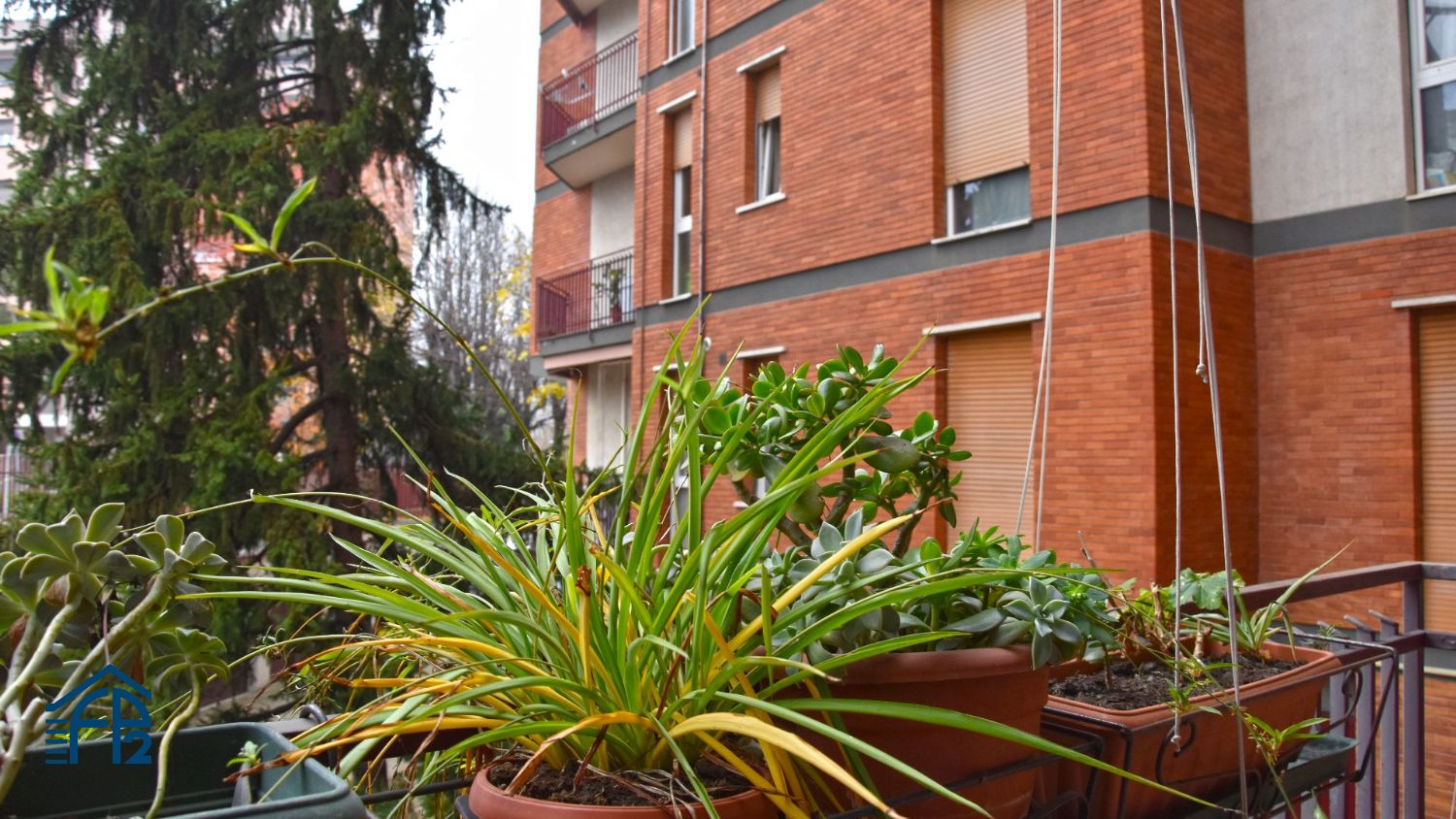 Trilocale Arredato adiacenze Parco di Monza