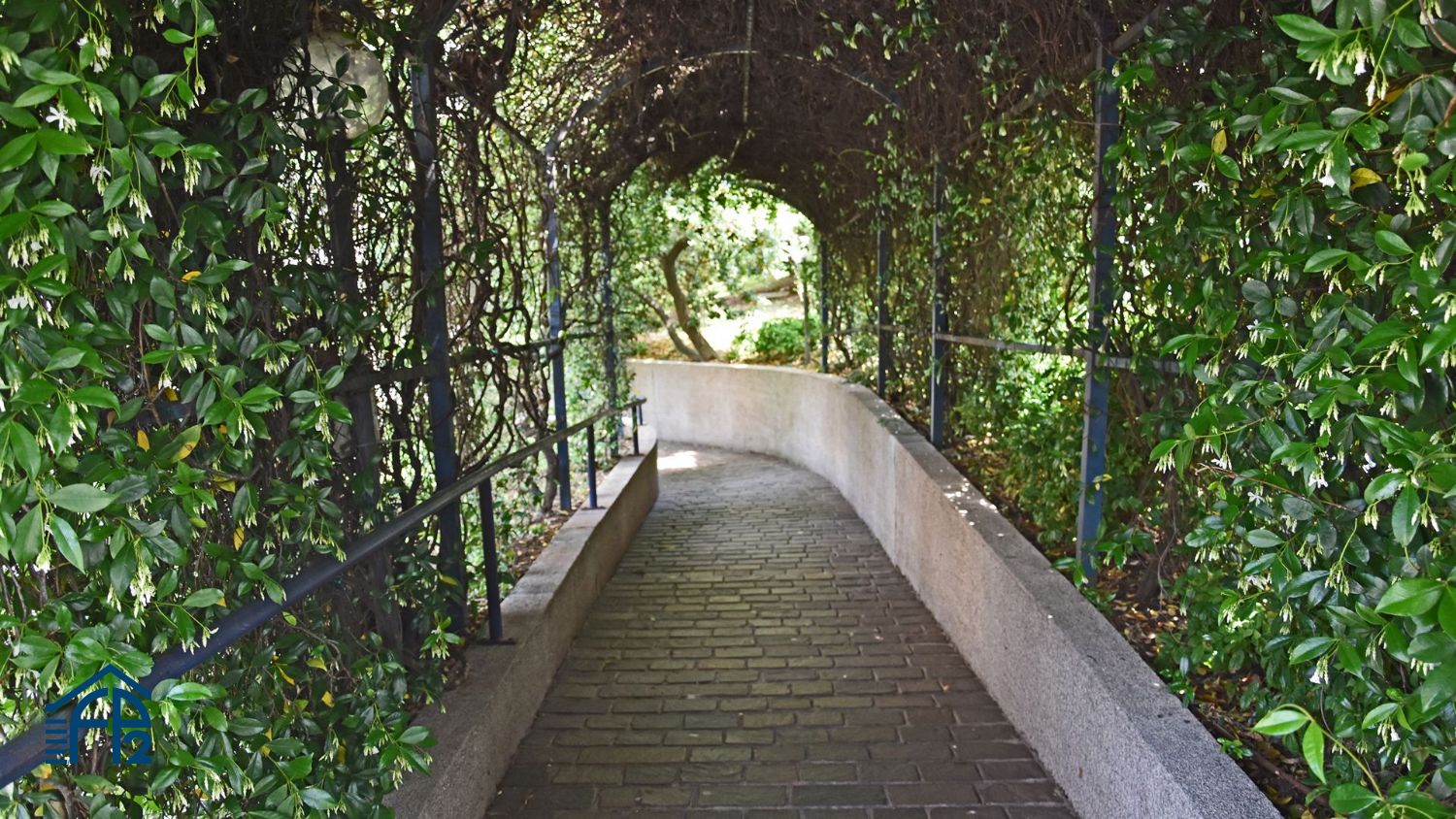 Trilocale Ultimo Piano zona Rondinella